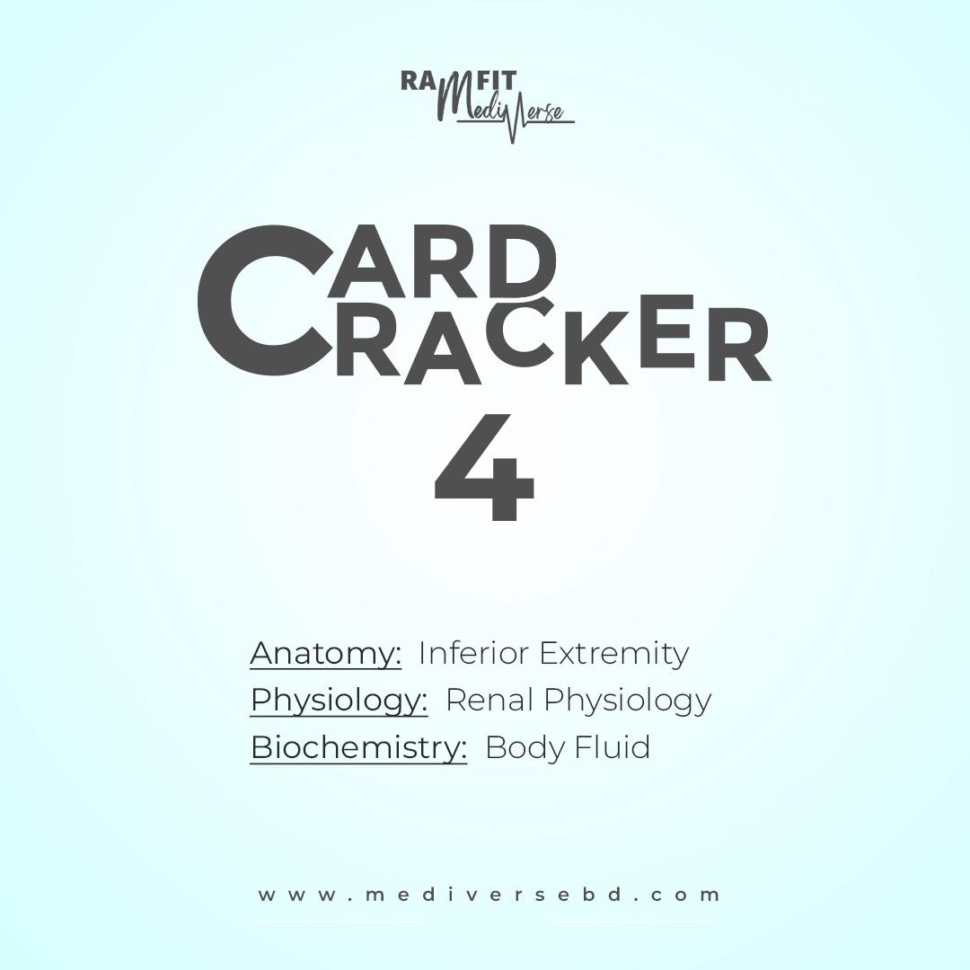 Card Cracker 4.0